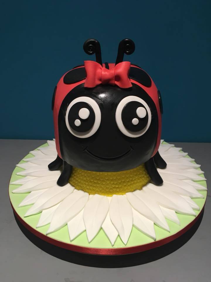 Ladybird Cake